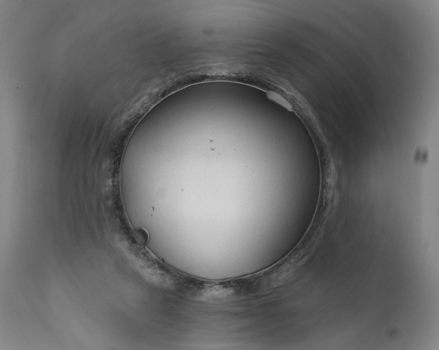 X0000111200257200907151421