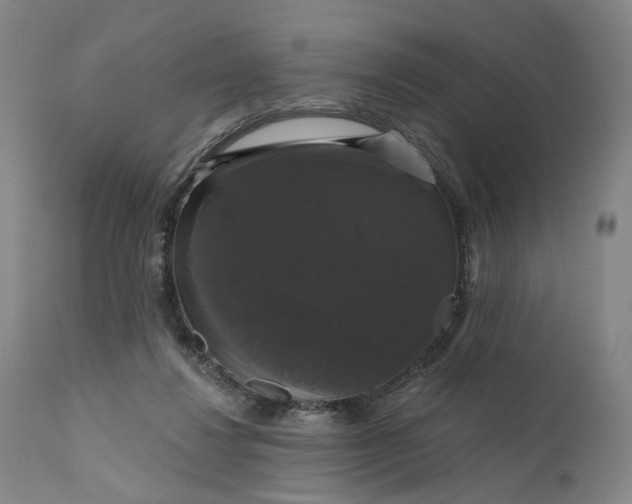 X0000111200260200907151421