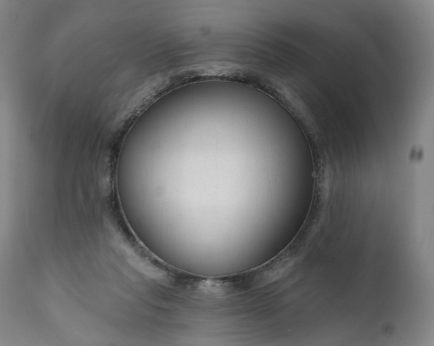 X0000111200261200907151421