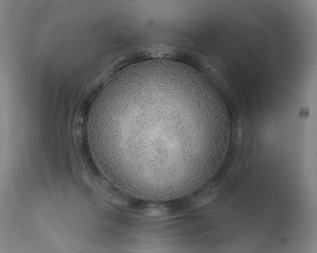 X0000111200263200907151421