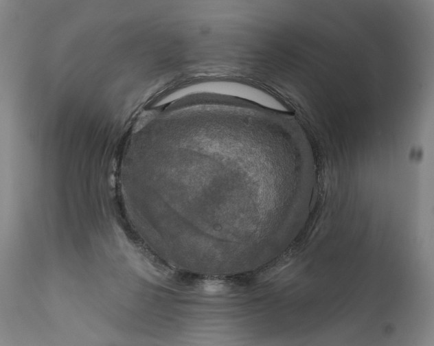 X0000111200264200907151421