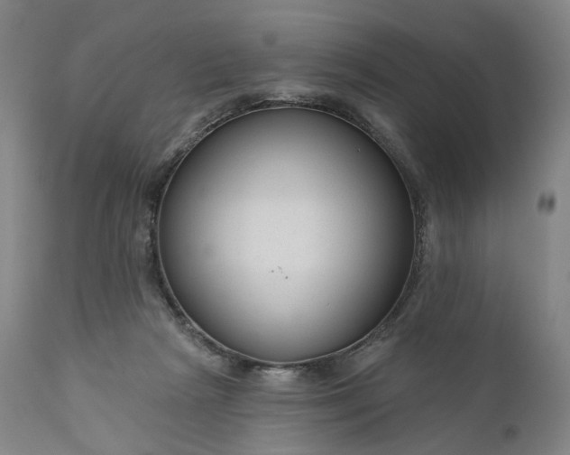 X0000111200265200907151421