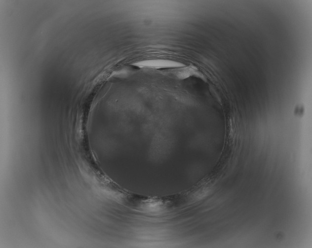 X0000111200267200907151421