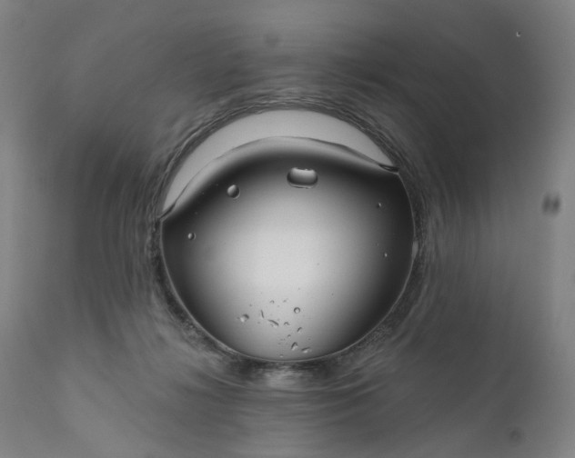 X0000111200268200907151421