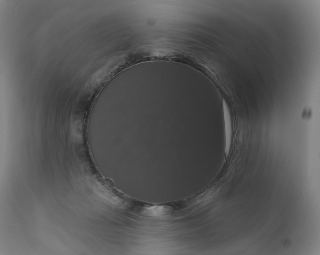 X0000111200269200907151421