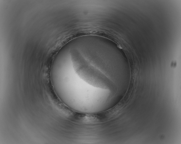 X0000111200270200907151421