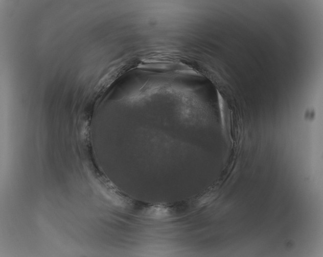 X0000111200276200907151421