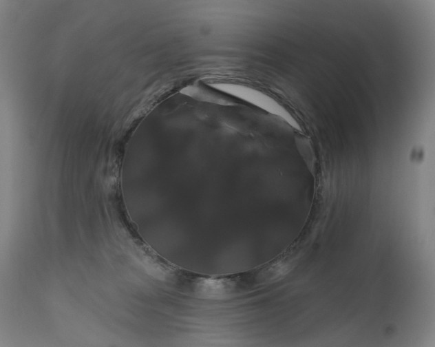 X0000111200277200907151421