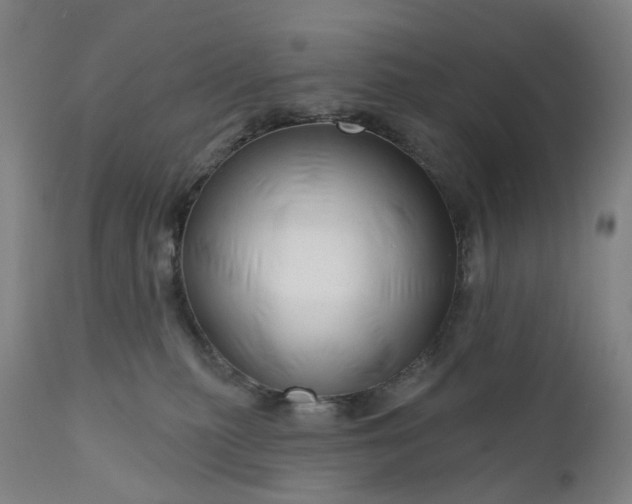 X0000111200279200907151421