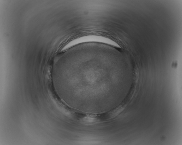 X0000111200280200907151421