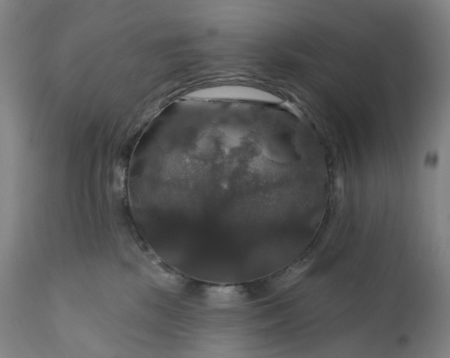 X0000111200281200907151421