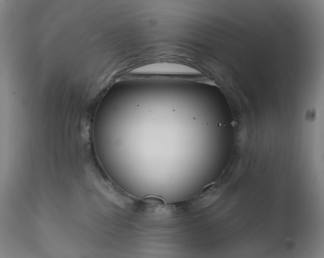 X0000111200282200907151421