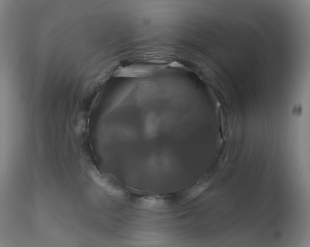 X0000111200284200907151421