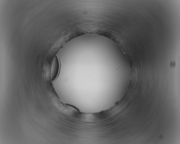 X0000111200287200907151421