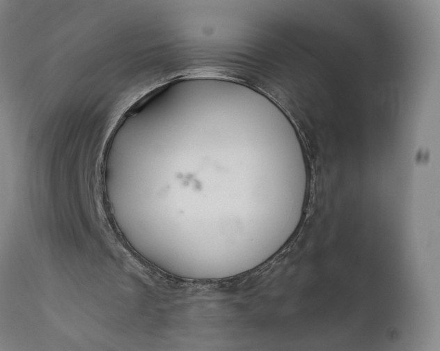 X0000111200289200907151420