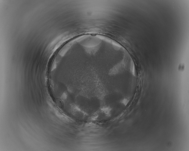 X0000111200290200907151420