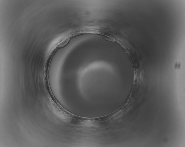 X0000111200293200907151420