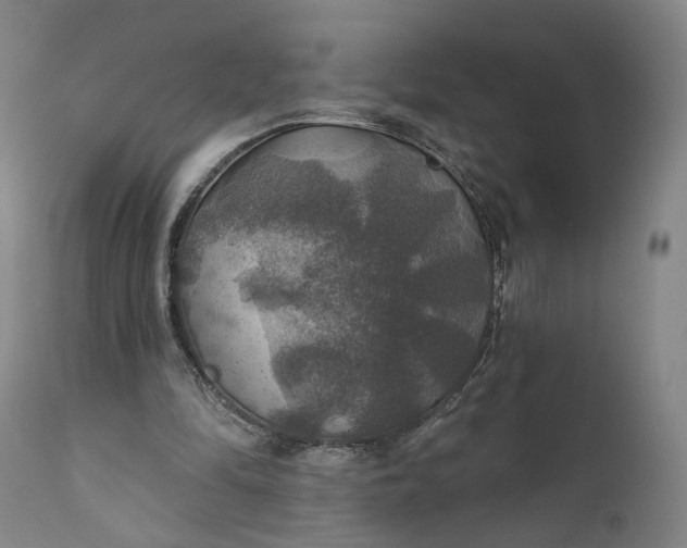 X0000111200294200907151420