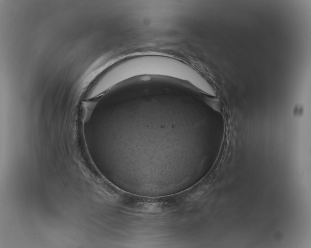 X0000111200295200907151420