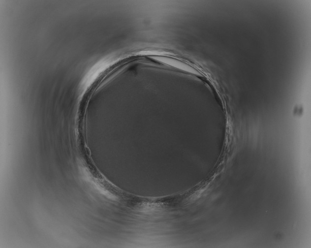 X0000111200296200907151420