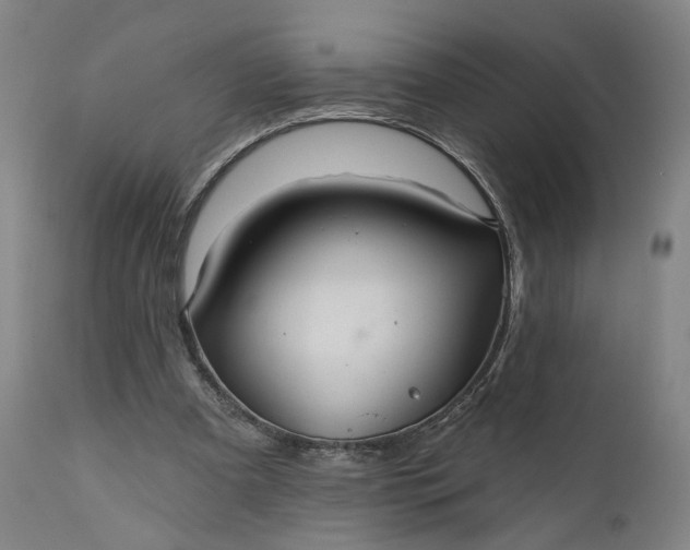 X0000111200297200907151420