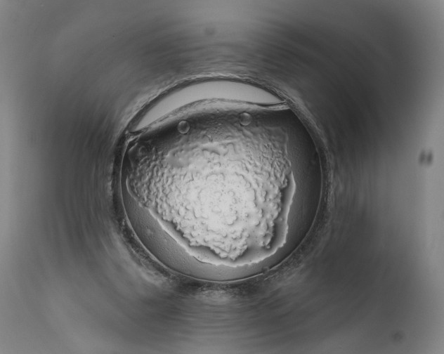 X0000111200299200907151420