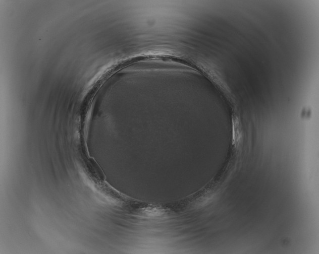 X0000111200300200907151420