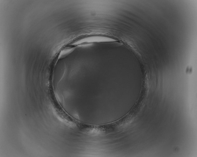 X0000111200303200907151420