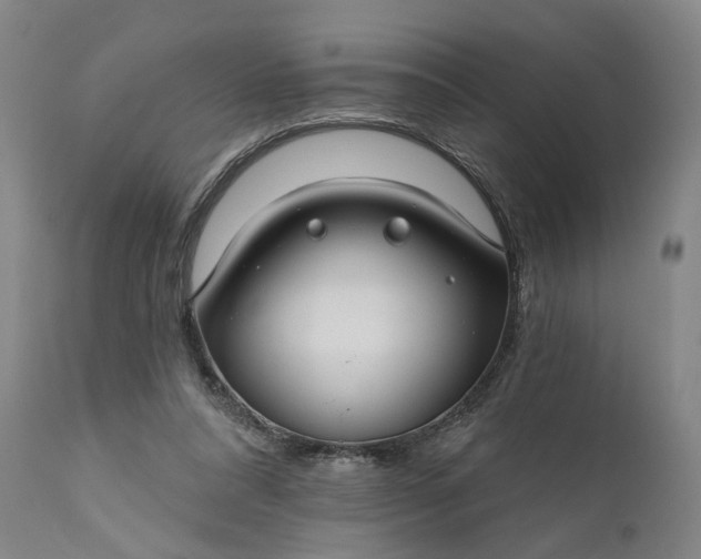 X0000111200304200907151420