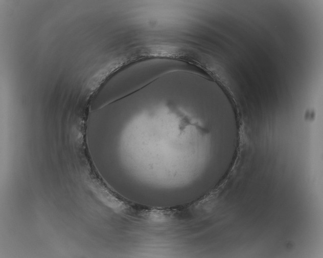 X0000111200305200907151420