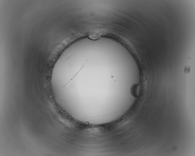 X0000111200307200907151420