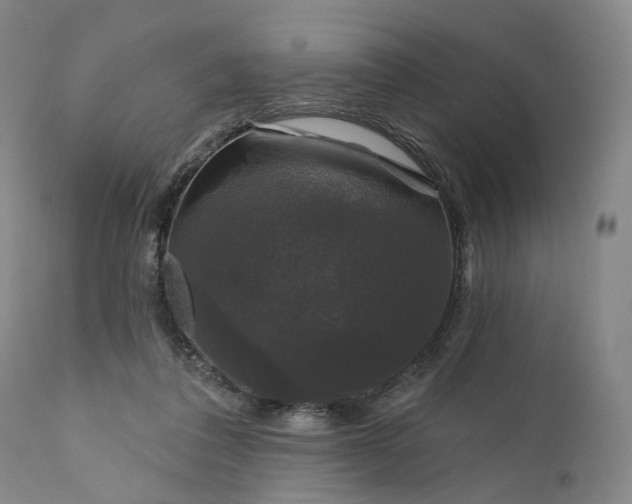 X0000111200308200907151420