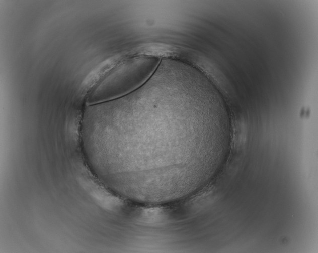 X0000111200309200907151420