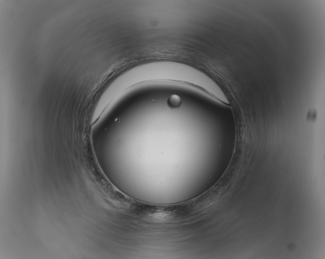 X0000111200312200907151420