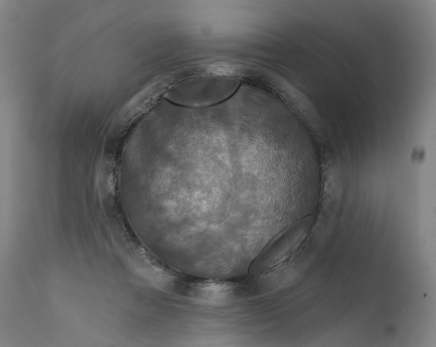 X0000111200313200907151420