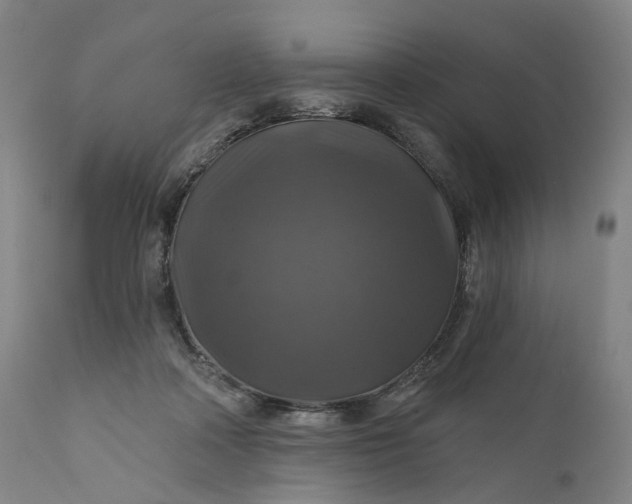 X0000111200314200907151420