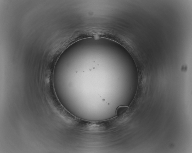 X0000111200315200907151420