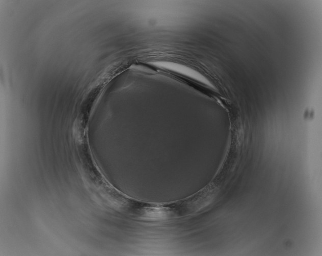 X0000111200316200907151420