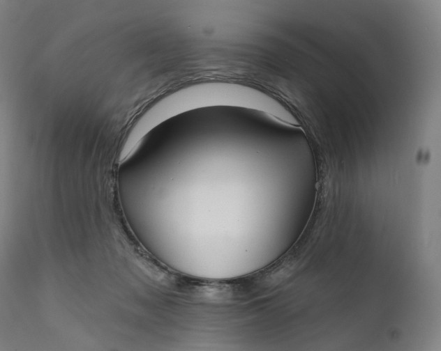 X0000111200317200907151420