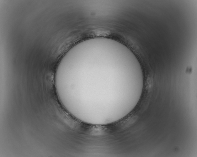 X0000111200321200907151420