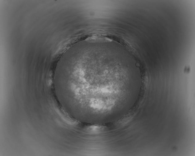 X0000111200323200907151420