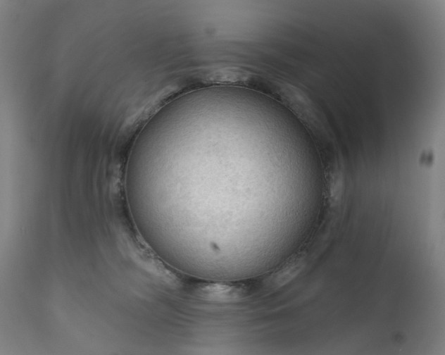 X0000111200326200907151420