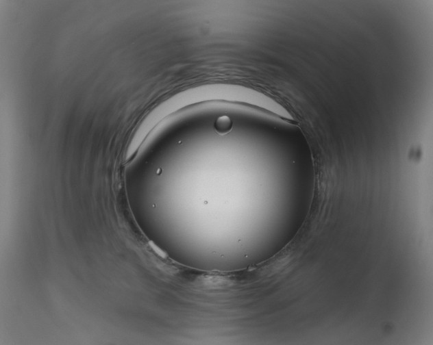 X0000111200327200907151420