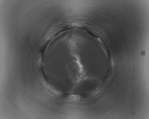 X0000111200328200907151420