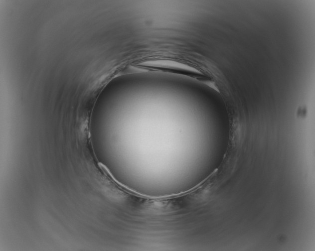 X0000111200329200907151420