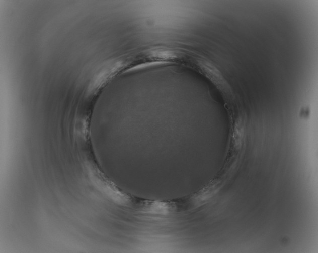 X0000111200330200907151420