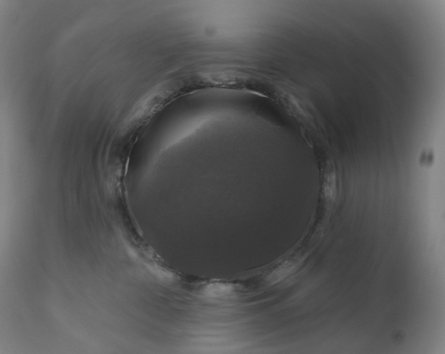 X0000111200332200907151420