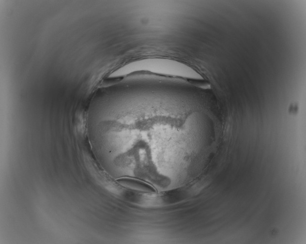 X0000111200335200907151420