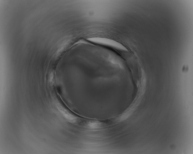 X0000111200336200907151420