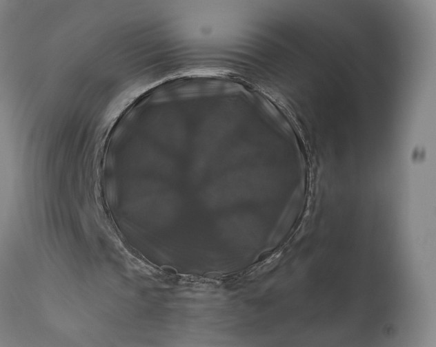 X0000111200337200907151419